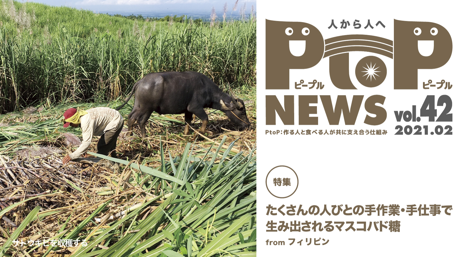 PtoP NEWS vol.42 2月号FBバナー