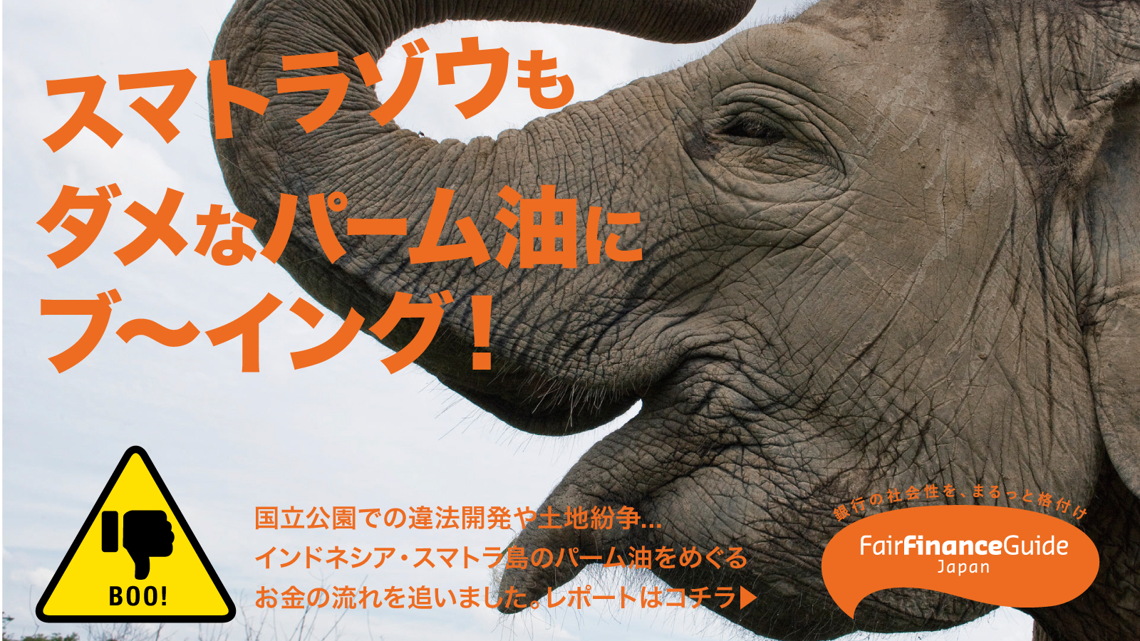 Fair Finance Guide Japan　ケース調査報告書『「紛争パーム油」と日本の関係—テッソ・ニーロ国立公園内のアブラヤシ農園開発問題—』
